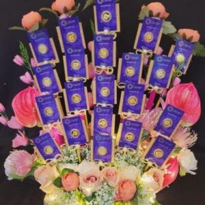 Ginni and Coin Packing - Image 1