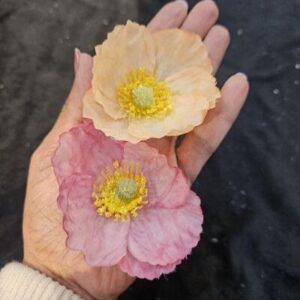 Loose Flowers And Bunches Catalogue 2026 Item 31 - Image 1