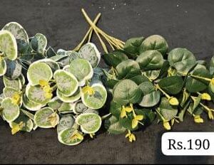 Loose Flowers And Bunches Catalogue 2026 Item 40 - Image 1