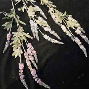 Loose Flowers And Bunches Catalogue 2026 Item 49 - Image 1